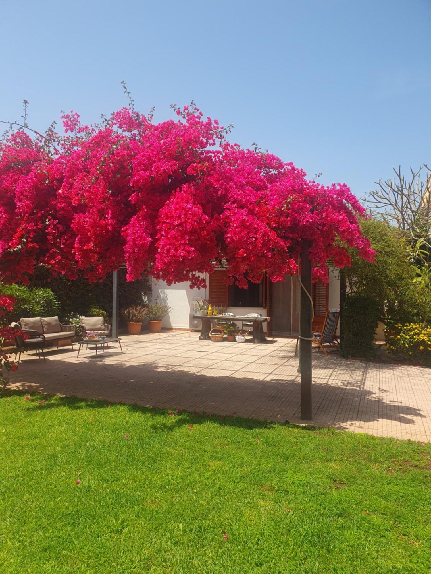 La Depandance Di Villa Rosa Locazioni Brevi مونديلّو المظهر الخارجي الصورة